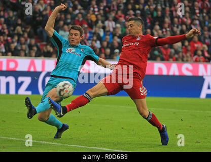 München, Deutschland. 3. November, 2018. Bayern München Robert Lewandowski (R) Mias mit Freiburger Dominique Heintz während eines Deutschen Bundesligaspiel zwischen Bayern München und der SC Freiburg, in München, Deutschland, November 3, 2018. Das Match endete mit einem 1-1. Credit: Philippe Ruiz/Xinhua/Alamy leben Nachrichten Stockfoto