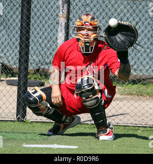 November 3, 2018 - St. Louis Cardinals Yadier Molina während einer Warm-up Training Session im Les Murakami Stadium auf dem Campus der Universität von Hawaii in Manoa in Honolulu, HI Michael Sullivan/CSM Stockfoto