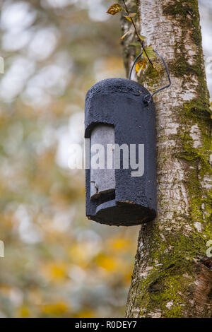 Modernes Design Batbox aus Holz Beton Stockfoto