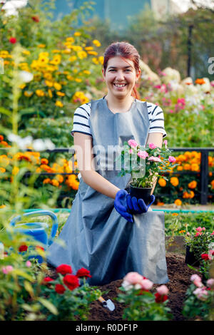 Bild von lächelnden Agronom brunette Holding rosa Rosen im Garten Stockfoto