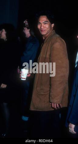 WESTWOOD, CA - 7. Dezember: Schauspieler Jason Scott Lee besucht die Orion Pictures' "Love Field" Premiere am 7. Dezember 1992 bei Mann Plaza Theatre in Westwood, Kalifornien. Foto von Barry King/Alamy Stock Foto Stockfoto