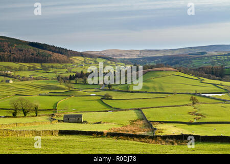 Weite malerische Aussicht auf Wharfedale (isolierte Scheunen, grüne Weide, sonnenbeschienene Tal, Wände, blauer Himmel) - Yorkshire Dales, England, Großbritannien. Stockfoto