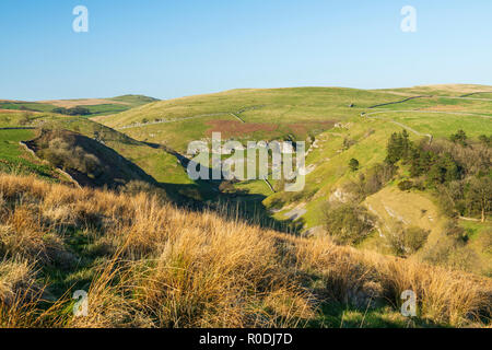 Hohe Blick von Rolling Hochland Weide, über Trollers Gill, einem ruhigen abgelegenen steilen Kalkstein Schlucht - in der Nähe von Skyreholme, Yorkshire Dales, England, UK. Stockfoto