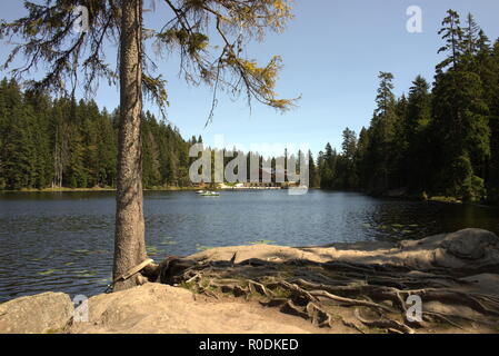 Blick über den Großen Arbersee zum arbersee Hütte im Bayerischen Wald Stockfoto