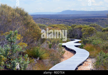 Boardwalk Wanderweg durch die Wälder bei Wattamolla, Royal National Park, NSW, Australien mit Bergen der Great Dividing Range in der Ferne Stockfoto