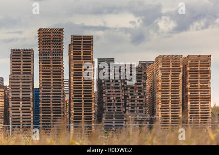 Stapel von Holz- Euro Paletten Recycling Depot Stockfoto