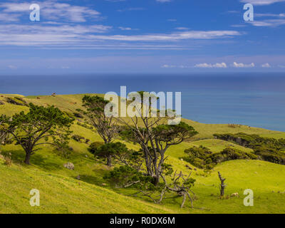 Ozean Blick über grüne Hügel mit Bäumen in der Nähe von Raglan, Neuseeland Stockfoto