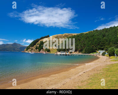 Blick auf die Bucht von elmslie in Marlborough Sounds, Südinsel, Neuseeland Stockfoto