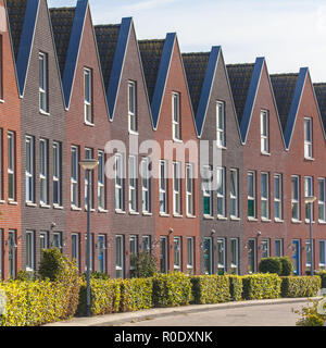 Moderne Reihenhäuser Einfamilienhäuser mit Hecken in Groningen, Niederlande Stockfoto