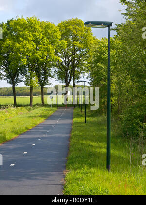 LED-Straßenbeleuchtung entlang einen Radweg mit geringer Streuung Lichtverschmutzung, Ideal für die Migration von Fledermäusen und anderen Nachtleben Stockfoto