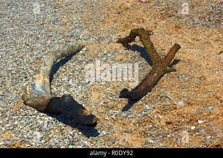 Zwei formlose getrocknet verkohlten Stücken Holz auf einem wilden Pebble Beach Stockfoto