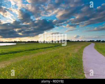 Radweg am Fluss Deich an der IJssel in den Niederlanden Stockfoto