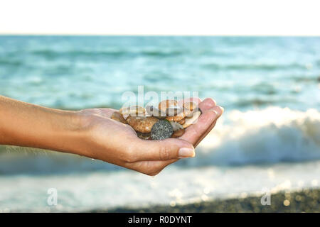 Bunte marine nassen Kieselsteinen in weiblicher Hand auf dem Hintergrund des Meeres mit den Wellen Stockfoto
