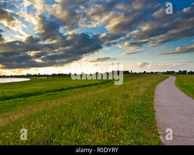 Radweg am Fluss Deich an der IJssel in den Niederlanden Stockfoto