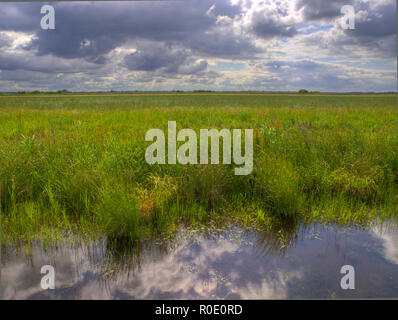 Typisch holländischen Polder mit brütenden Sky Stockfoto