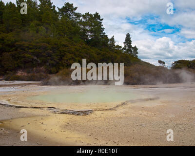 Grün und Gelb heißes Wasser Frühling in Rotorua, Neuseeland Stockfoto
