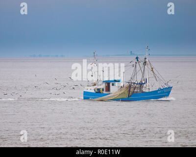 Fischereifahrzeugs auf dem Wattenmeer von Möwen umgeben Stockfoto