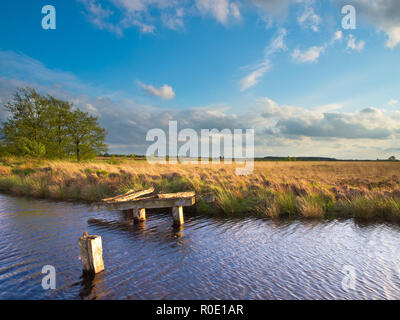 Alte hölzerne Fundament für eine Bridge in einem Nationalpark Stockfoto