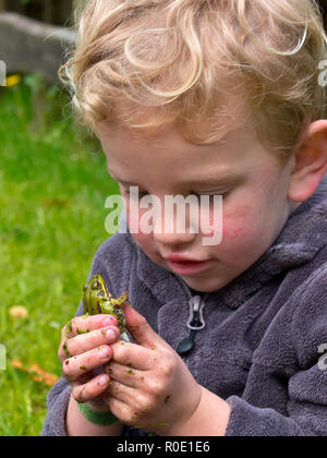 Een jongetje houdt een Groene kikker in zijn Hand Stockfoto