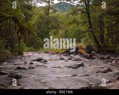 Einem schnell fließenden forest Stream Stockfoto