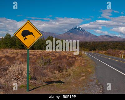 Kiwi Warnschild mit Vulkan in der Rückseite Stockfoto