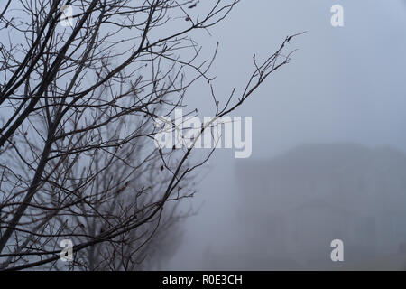 Outdoor Park in Wohngegend mit starker Nebel Stockfoto