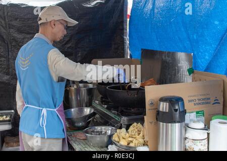 Asain essen Koch Frittieren einige Straße Essen in seinem wok Abschaltdruck Stockfoto