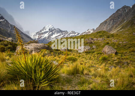 Ein Blick auf das Hooker Valley zu schneebedeckten Mt. Cook Stockfoto