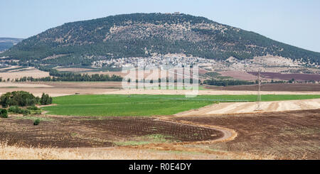 Ein Panorama des Berges Tabor har tavor im unteren Galiläa im Norden Israels mit modernen landwirtschaftlichen Feldern im Vordergrund. Stockfoto