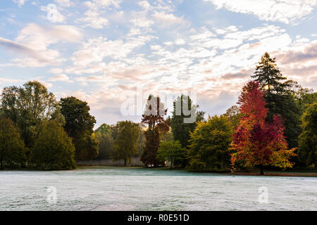 Frosty herbstlichen Morgen in Hampstead Heath, London, UK Stockfoto