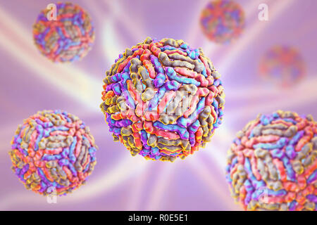 West-Nil-Viruspartikel, Computer Bild. West-Nil-Virus (WNV) ist bekannt, Enzephalitis beim Menschen verursachen. Die WNV gehört zu den Flavivirus, welche sind RNA (Ribonukleinsäure) Viren, die von einer äußeren Protein-Hülle umgeben sind. WNV wird durch Mücken übertragen und befällt sowohl Menschen als auch Tiere. Symptome reichen von leichtem Fieber zu spontanen Blutungen der Haut und der Kreislauf Versagen, die oft tödlich sind. Stockfoto