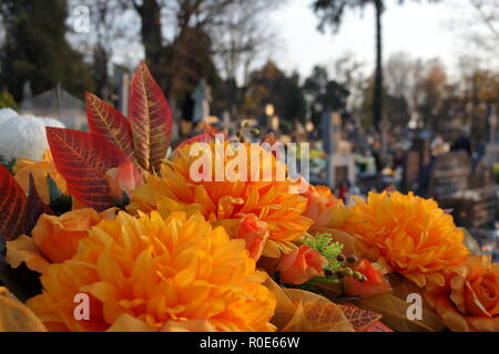 Allerheiligen. Chrysantheme Blumen auf Grabstein in alten Friedhof in Polen Stockfoto