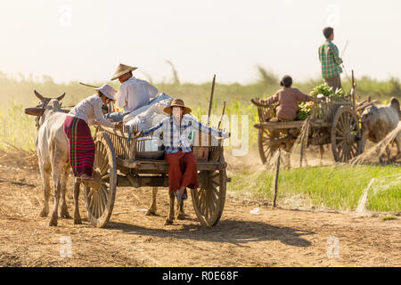 BAGAN, Myanmar, 21. JANUAR 2015: burmesische Bauern fahren ein ochsenkarren kommen zum Entladen ein Schiff von Lebensmittel und Materialien entlang des Irrawaddy Flusses ne Stockfoto