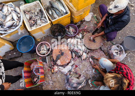 MANDALAY, Myanmar, 19. JANUAR 2015: Männer sind Skalierung frische Fische auf dem Boden in einem schmutzigen und schlechten Street Market in Mandalay, Myanmar (Birma). Stockfoto