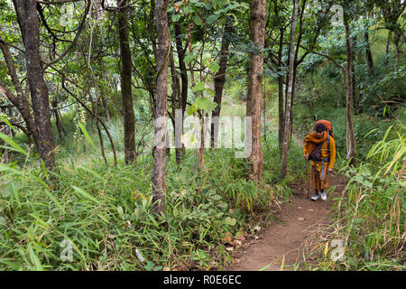 CHIANG DAO, THAILAND, Januar 05, 2015: Ein buddhistischer Mönch ist trekking die Oberseite des Chiang Dao zu erreichen, für ein neues Jahr Meditation in Thailand. Stockfoto