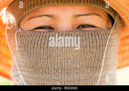 KHON KAEN, THAILAND-Nov 23: eine Frau Thai Landwirtin ist der Schutz von den schweren Sonne für die Ernte von Reis in das Feld am 23. November 2013 Stockfoto