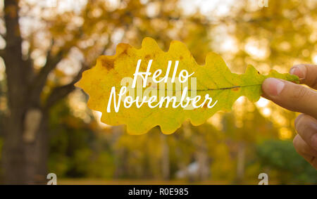 Hallo November Herbst Komposition. Nahaufnahme der Hand hält gelb Eichenlaub auf Bäumen Hintergrund. Stockfoto