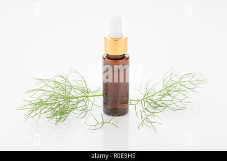Fenchel ätherisches Öl auf weißem Hintergrund. Foeniculum vulgare Stockfoto