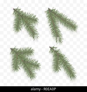 Festlegen von realistischen Tannenzweigen. Urlaub kunstvollen Elementen. Weihnachtsbaum oder Kiefer. Conifer Zweig Symbol für Weihnachten und das neue Jahr isoliert auf transparen Stock Vektor