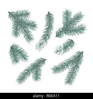 Grünen Tannenzweigen. Satz a Christmas tree branches. Conifer Zweig Symbol für Weihnachten und das neue Jahr. Urlaub Dekor Element. Vector Illustration isol Stock Vektor