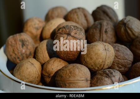 Ungeschälte Walnüsse in eine Schüssel geben Stockfoto