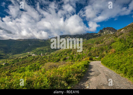 Monte Stello massiv über Dorf von Sisco, Straße D32, Cap Corse, Haute-Corse, Korsika, Frankreich Stockfoto