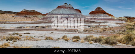 Painted Desert ist Teil der Petrified Forest National Park in Navajo und Apache Grafschaften im nordöstlichen Arizona. Die Chinle, gibt Farbe Stockfoto