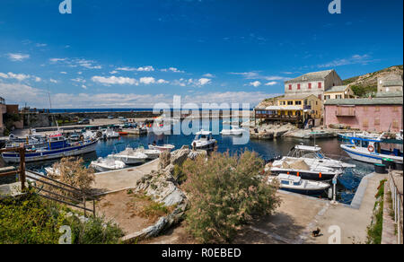 Angeln und Boote an der Marina und Port im Dorf Bastia, Cap Corse, Haute-Corse, Korsika, Frankreich Stockfoto