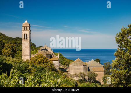 Kirche Santa Maria Assunta in Dorf Pino, Mittelmeer, Cap Corse, Haute-Corse, Korsika, Frankreich Stockfoto