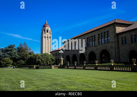 Stanford Campus Stockfoto