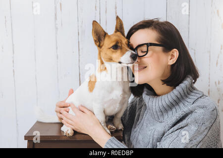 Der attraktive junge Frau umarmt ihren Liebling Hund, berührt mit Nase, bringt grosse Liebe zum Haustier. Treuer Hund hat gute Beziehungen zu bewirten. Stockfoto