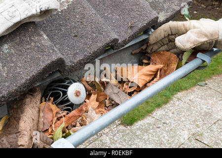 Man reinigt die Dachrinne Stockfoto