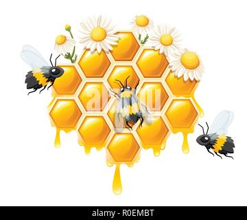 Waben mit Honig fällt. Honig mit Blumen und Bienen. Logo für Shop oder Bäckerei. Flache Vector Illustration auf weißem Hintergrund. Stock Vektor