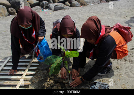 Lhokseumawe, Aceh, Indonesien. 4 Nov, 2018. Freiwillige gesehen einen Baum pflanzen in einem Teil des neuen Projekts, den Strand zu reinigen. Indonesischen Freiwilligen aus BNPB (Nationale Behörde für Katastrophenmanagement) einen Strand aufräumen und auch gepflanzt 3000 Bäume eine saubere Umwelt für alle in Lhokseumawe Stadt zu erstellen. Credit: Maskur hat/SOPA Images/ZUMA Draht/Alamy leben Nachrichten Stockfoto